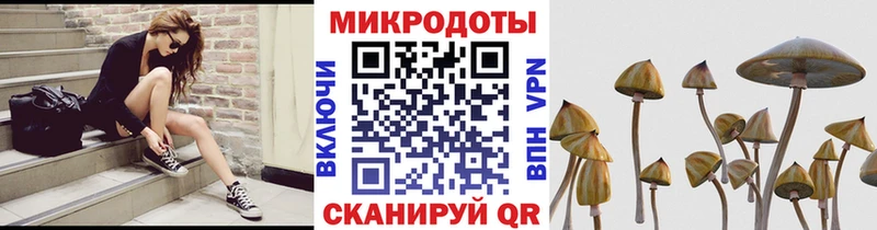 Галлюциногенные грибы мицелий  Пустошка 
