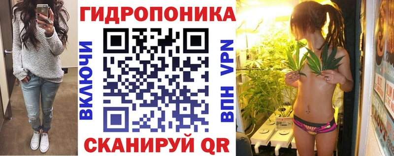 Конопля MAZAR  Пустошка 